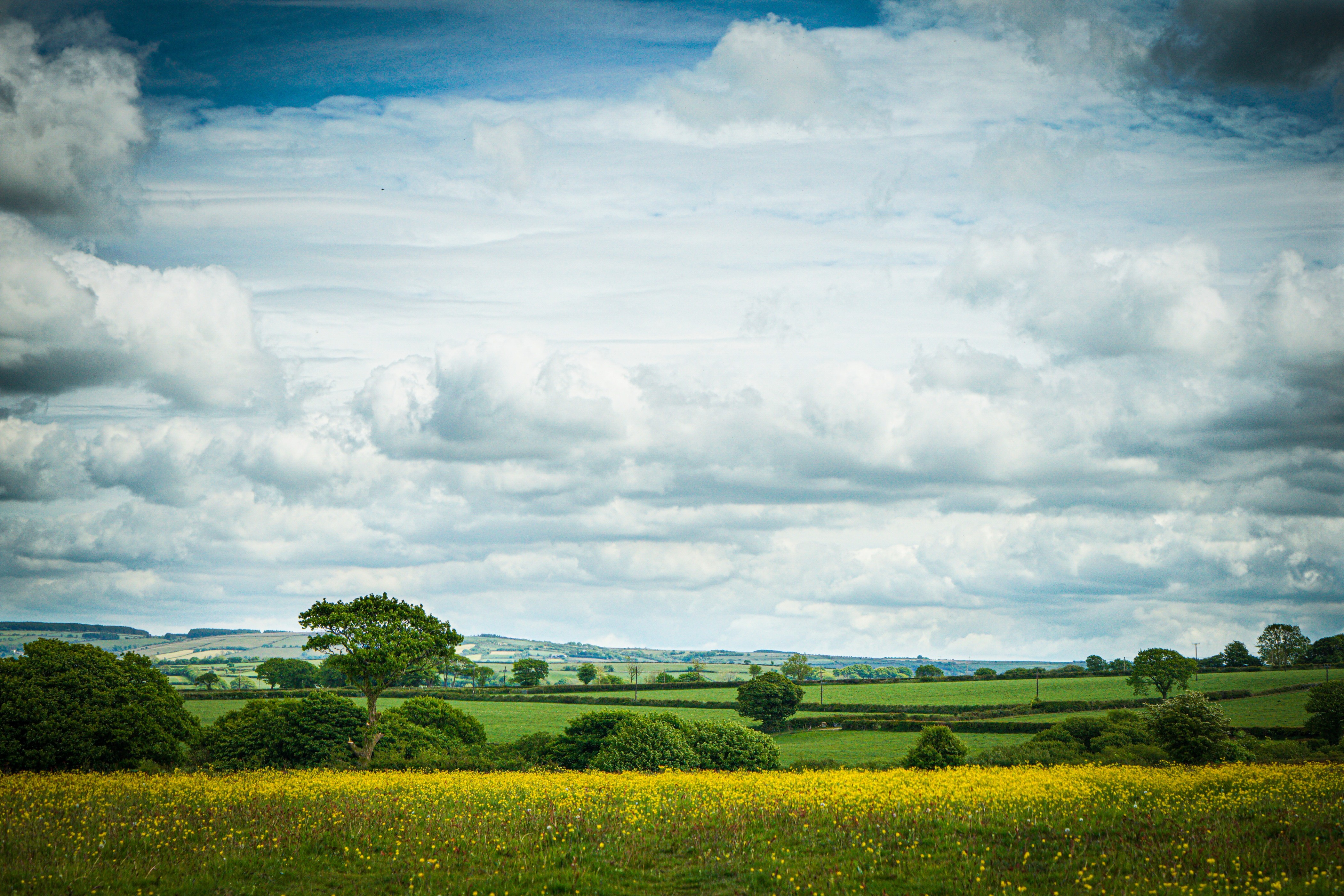 Pastoral scene in rural Wales